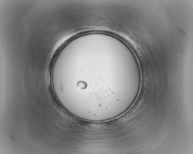 X0000115431271200911251218