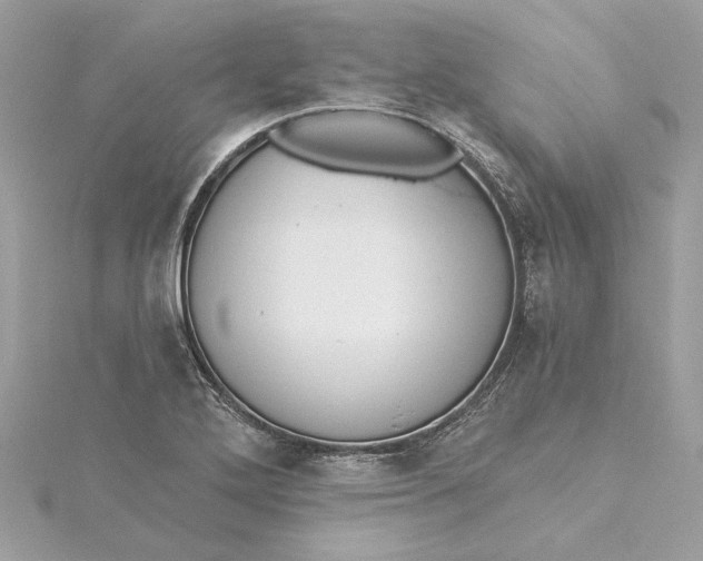 X0000115431272200911251218