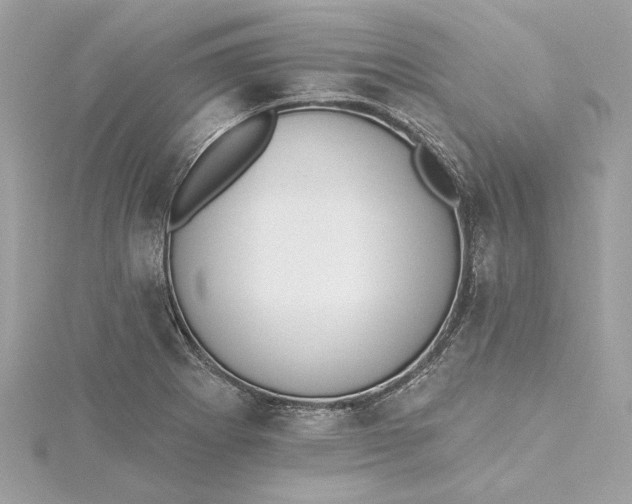 X0000115431273200911251218