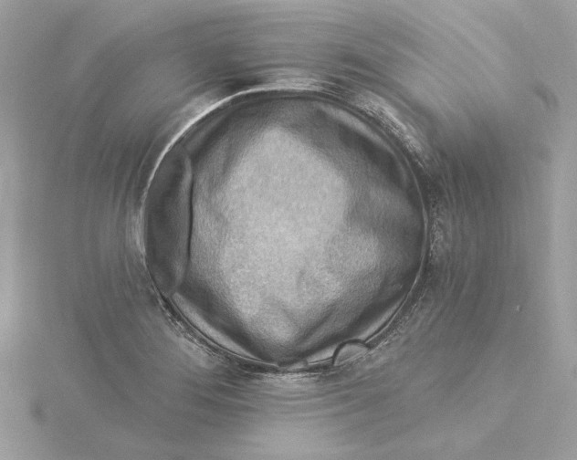 X0000115431276200911251218