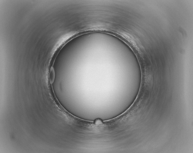 X0000115431277200911251218