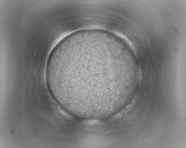 X0000115431278200911251218