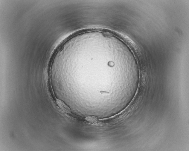 X0000115431279200911251218