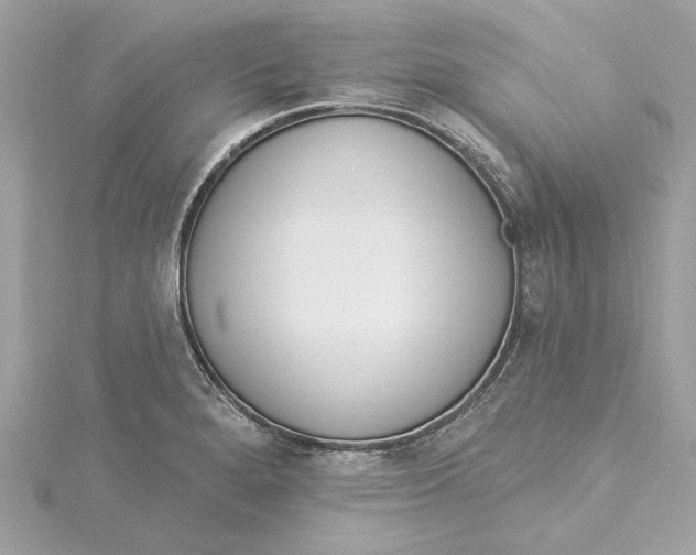 X0000115431280200911251218