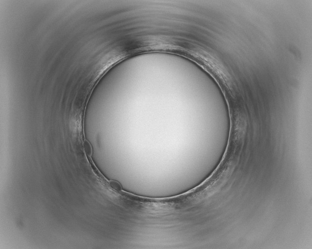 X0000115431281200911251218