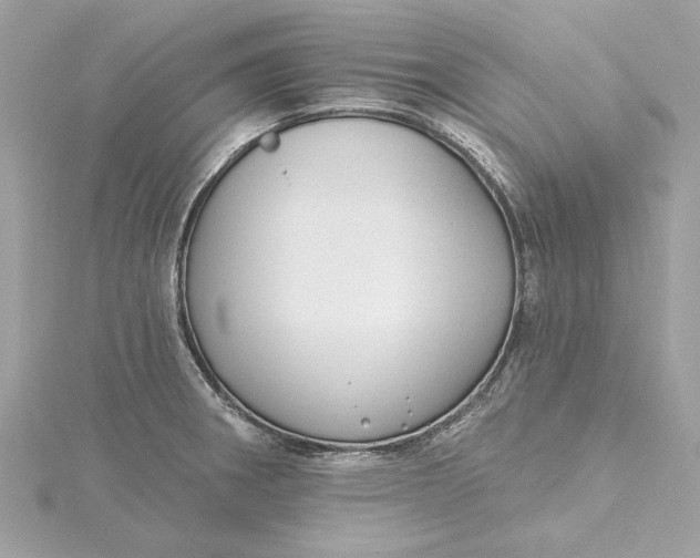 X0000115431282200911251218