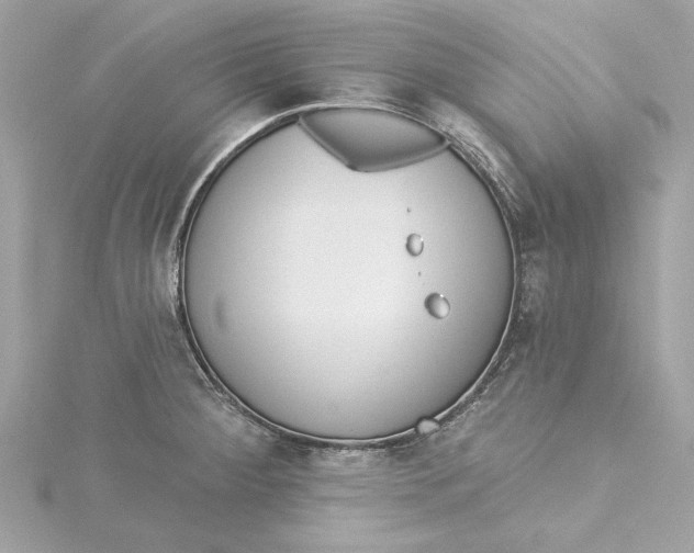 X0000115431284200911251218