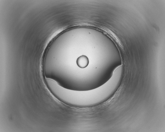 X0000115431285200911251218