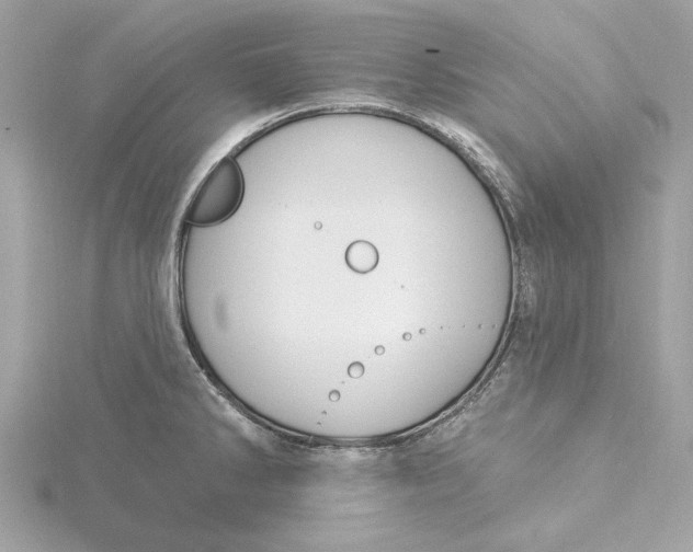 X0000115431286200911251218