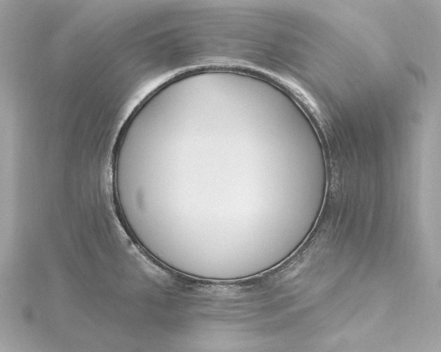 X0000115431287200911251218