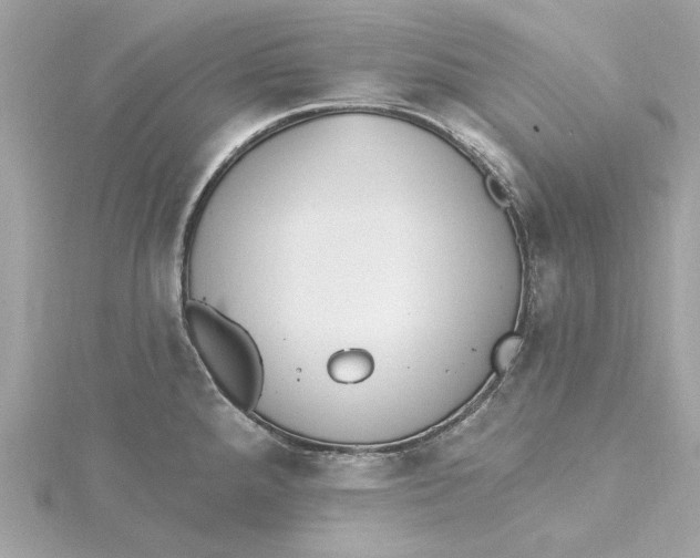 X0000115431288200911251218