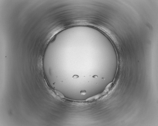 X0000115431289200911251218