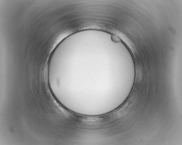 X0000115431290200911251218