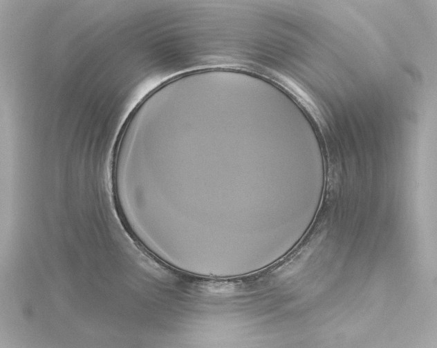 X0000115431291200911251218