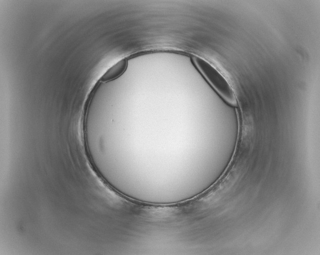 X0000115431293200911251218