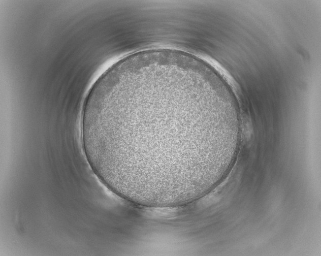 X0000115431294200911251218