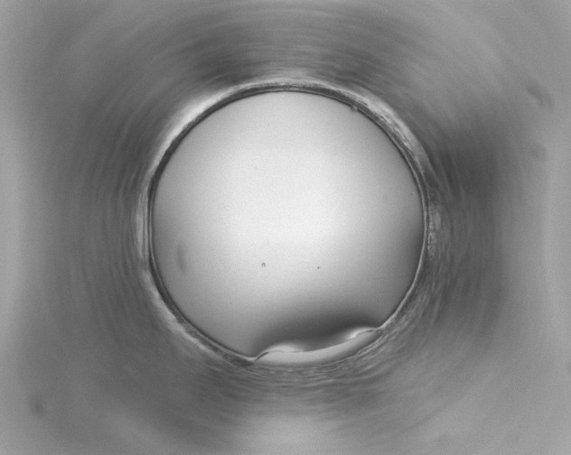 X0000115431295200911251218