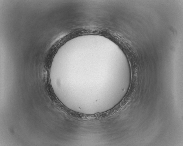 X0000115431302200911251217