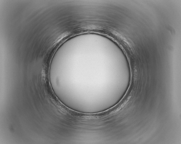 X0000115431305200911251217