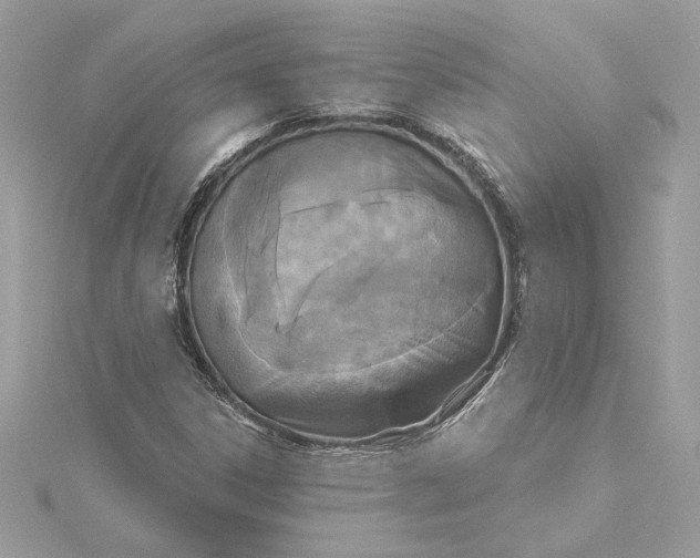 X0000115431306200911251217