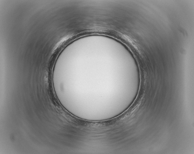 X0000115431307200911251217