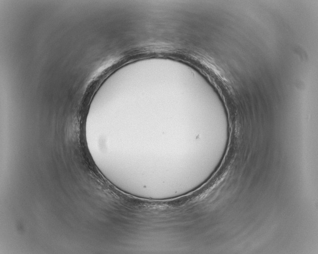 X0000115431309200911251217