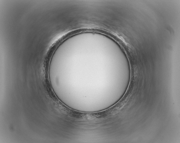 X0000115431311200911251217