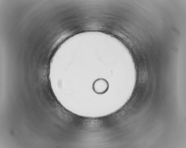 X0000115431314200911251217