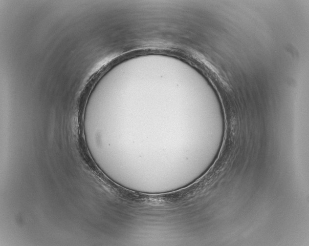 X0000115431315200911251217