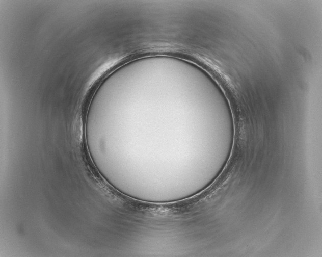 X0000115431317200911251217