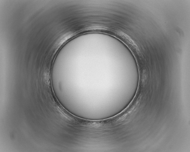 X0000115431321200911251217