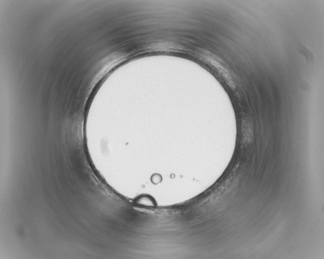 X0000115431322200911251217