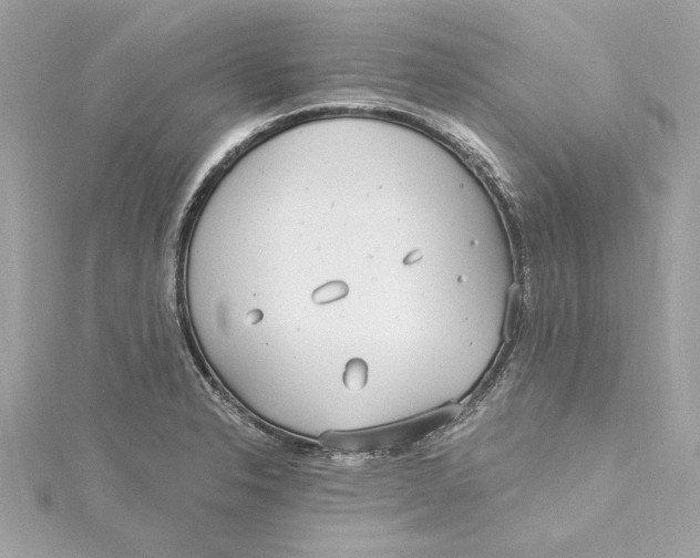 X0000115431326200911251217