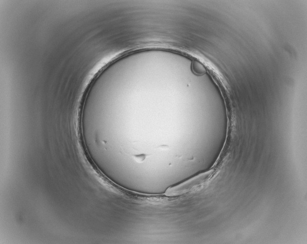 X0000115431333200911251218