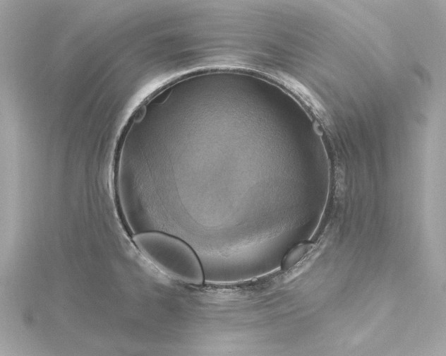 X0000115431334200911251218