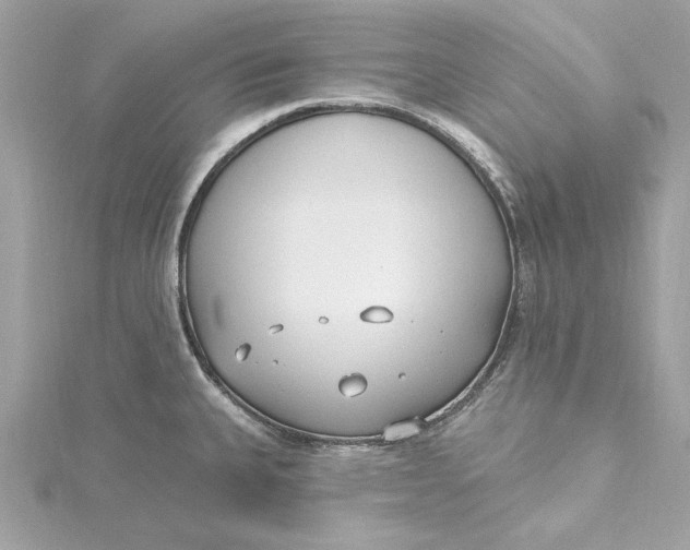 X0000115431335200911251218