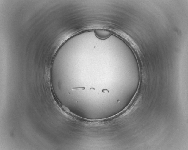 X0000115431337200911251218