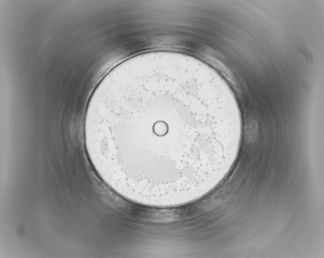 X0000115431338200911251218