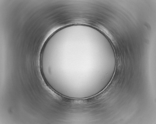 X0000115431339200911251218