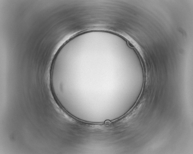 X0000115431341200911251218