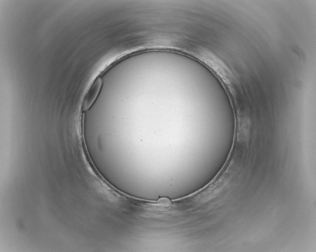 X0000115431342200911251218