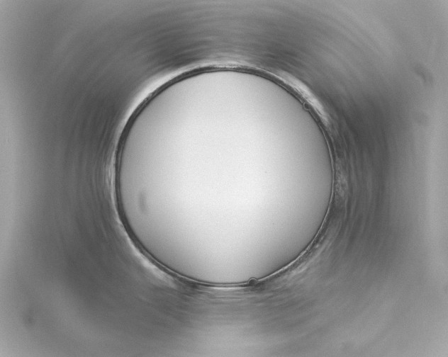 X0000115431343200911251218