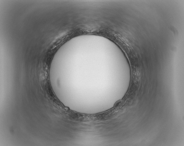 X0000115431349200911251217