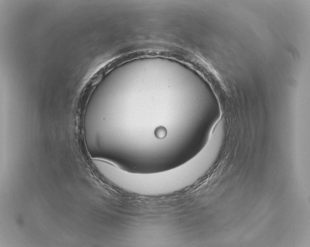 X0000115431352200911251217