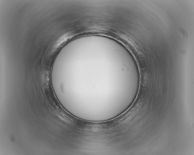 X0000115431355200911251217