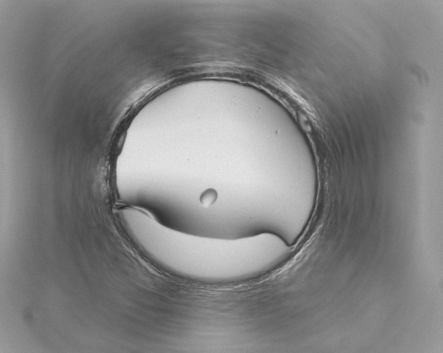 X0000115431357200911251217