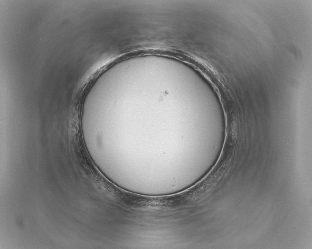 X0000115431359200911251217