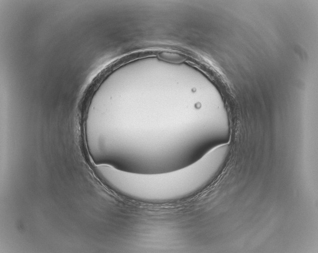 X0000115431360200911251217