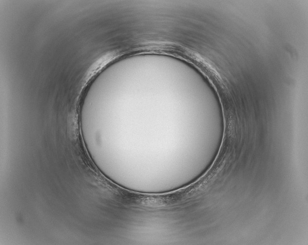 X0000115431362200911251217