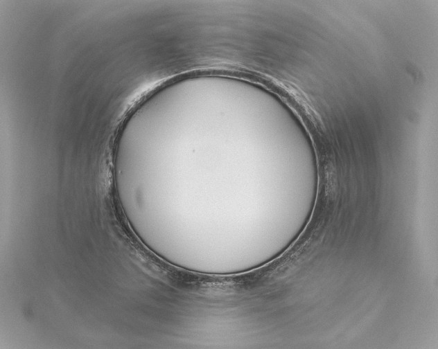 X0000115431363200911251217